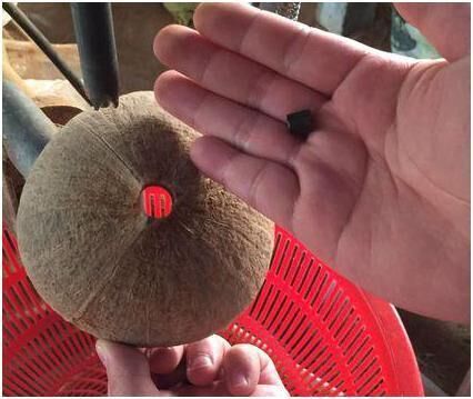 椰子壳回收价格,高价回收椰子