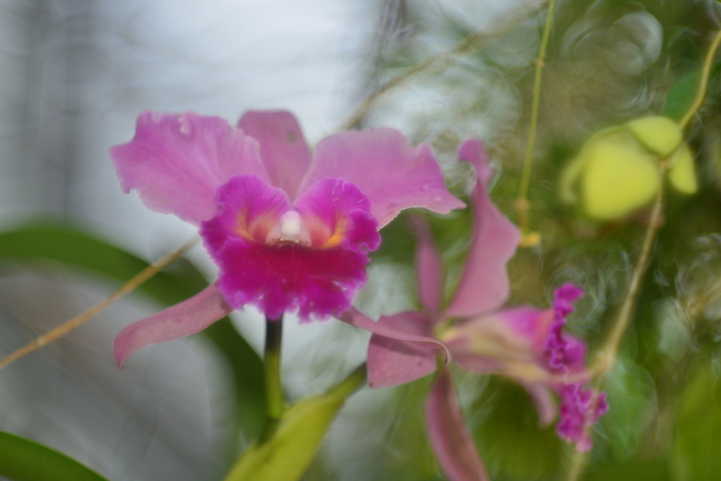 徕卡最新款全画幅报价,徕卡q系列最新款