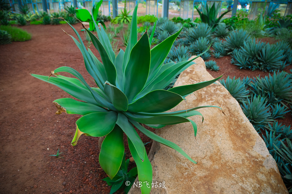 南通滨江公园亲子游,南通洲际绿博园有什么好玩的