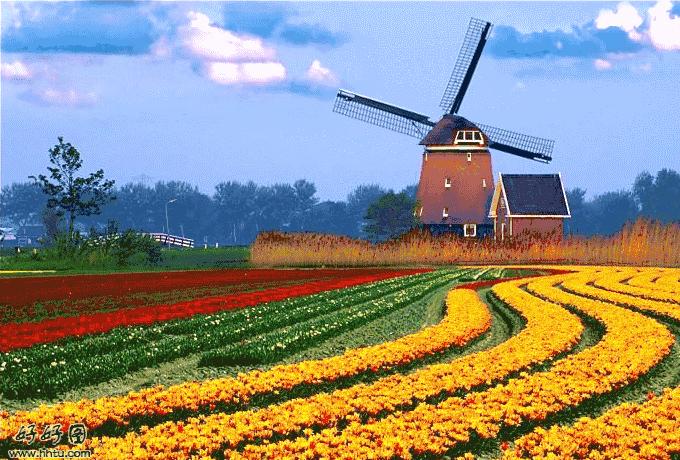 热气球南海桂城,桂城足球农庄团购