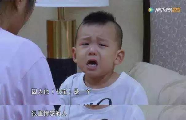 七宝哭何洁完整版,何洁照顾七宝