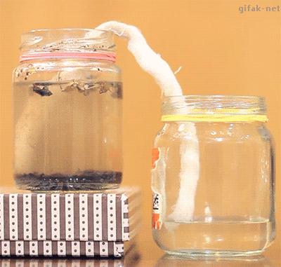 学会这招一百杯不醉,泡妹打野教学