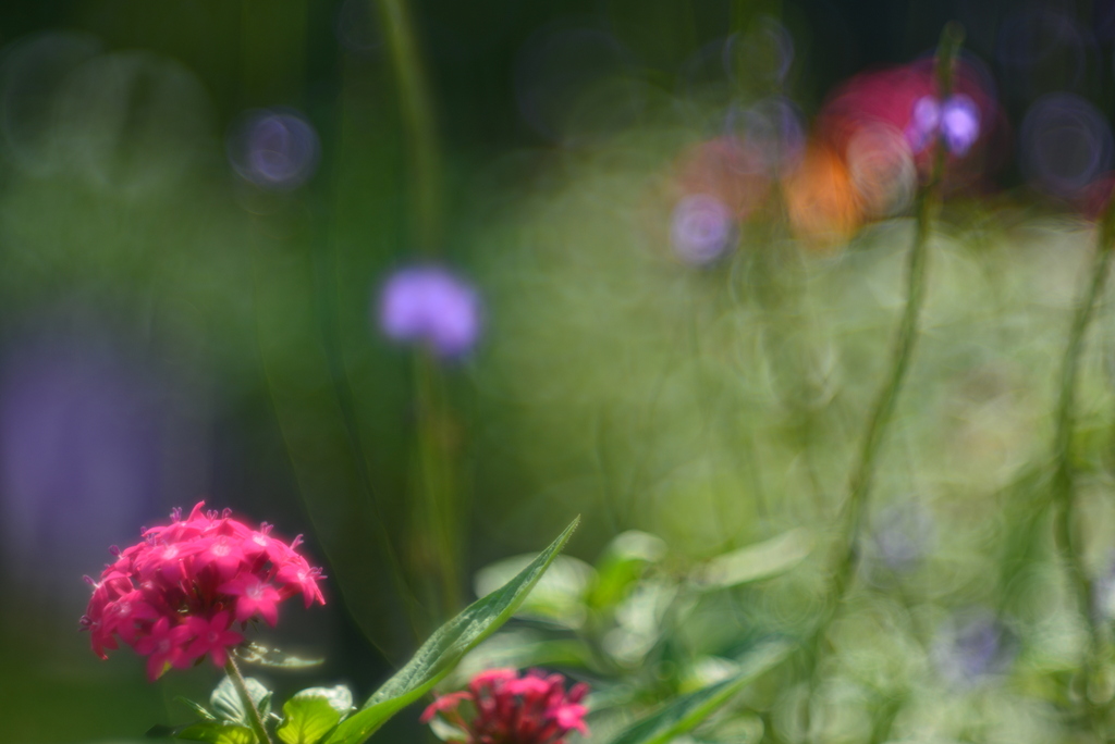 徕卡最新款全画幅报价,徕卡q系列最新款