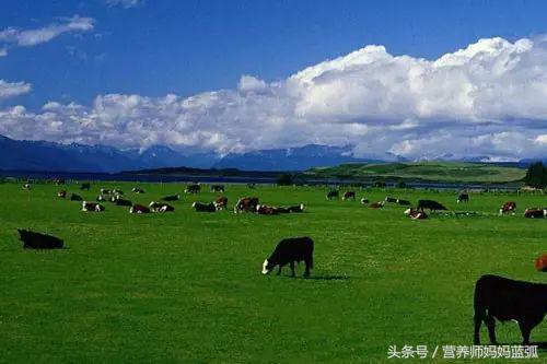 挑选奶粉看哪些配方,选奶粉看配料表还是看营养成分表