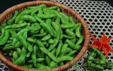 经常吃各种豆类对身体有什么好处,人类最佳的保健蔬菜有哪些