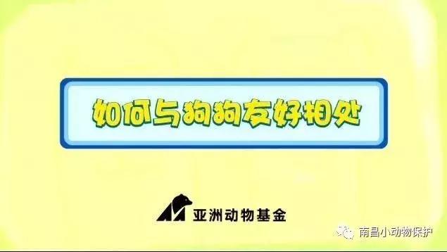 世界狂犬病日漫画,全球狂犬病爆发漫画