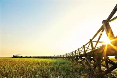 管清友恒大,管清友中海油