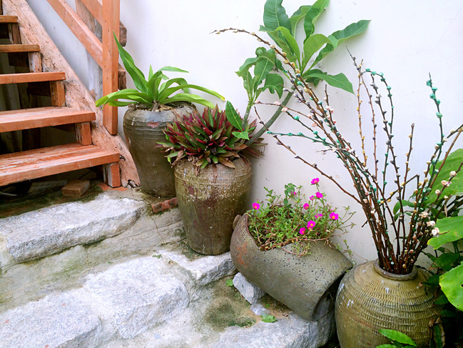 三亚结婚十周年蜜月,三亚旅游纪念日