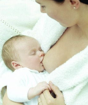 妈妈没奶了怎么给宝宝吃,宝宝喝奶妈妈吃什么下奶