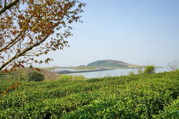 太湖舒畅之旅：乐享田园生活
