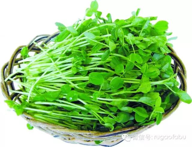 只有春天才有的如皋美食,春天一定不要错过美食