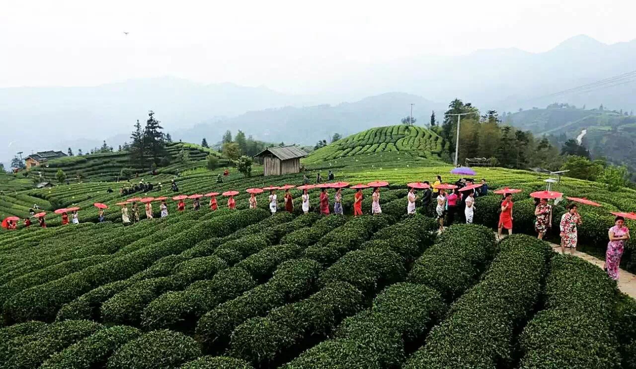 骞胯タ涓夋睙姊敯缇庡コ鍥剧墖,渚楁棌涓夋睙缇庡コ
