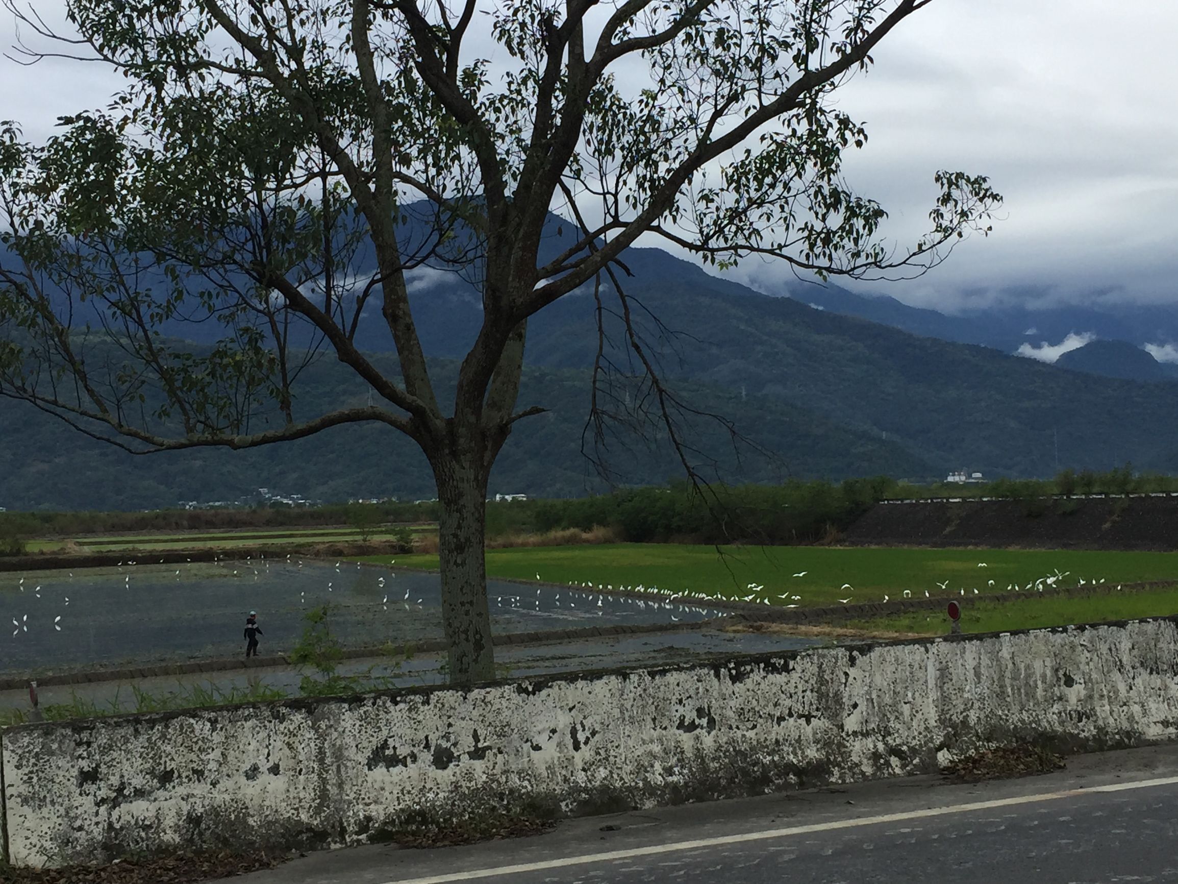 共享单车人人都能骑,共享单车人人都可以骑