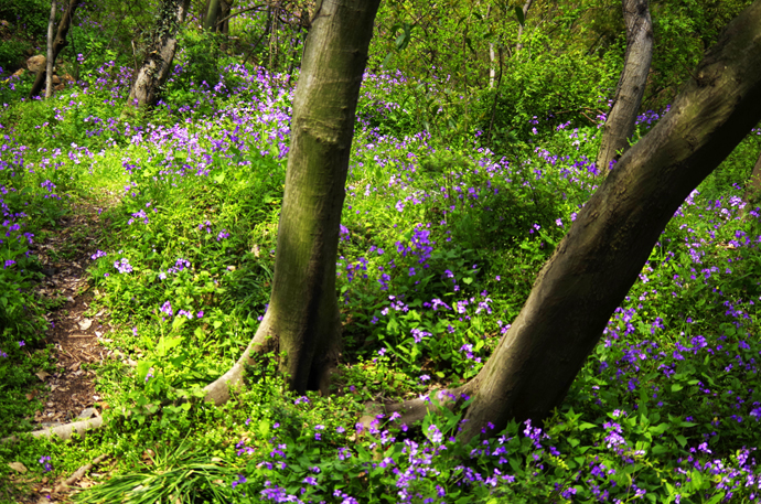 苏州穹窿山景区风景,苏州穹窿山半山腰