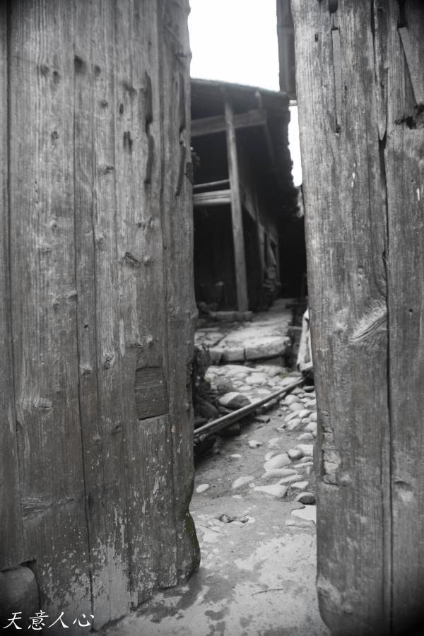 漫游武夷山之自驾游,漫游武夷记