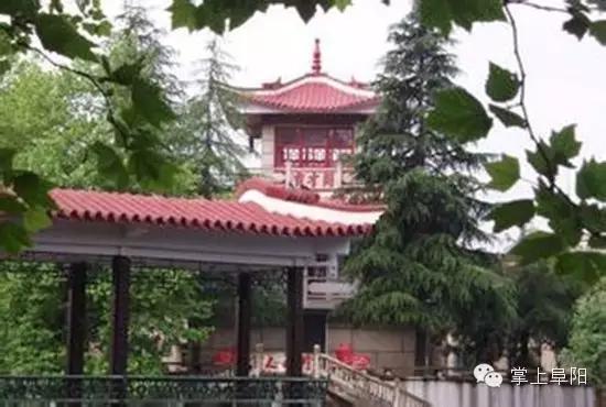 阜阳哪个乡镇有好看的风景,阜阳最美村庄排名第一的是哪个