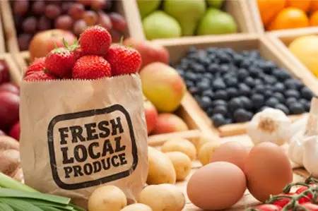 生鲜电商如何生存,生鲜电商为什么这么难养成