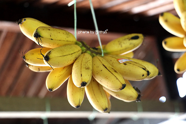 人生必需要有一次闺蜜游——沙巴五日游