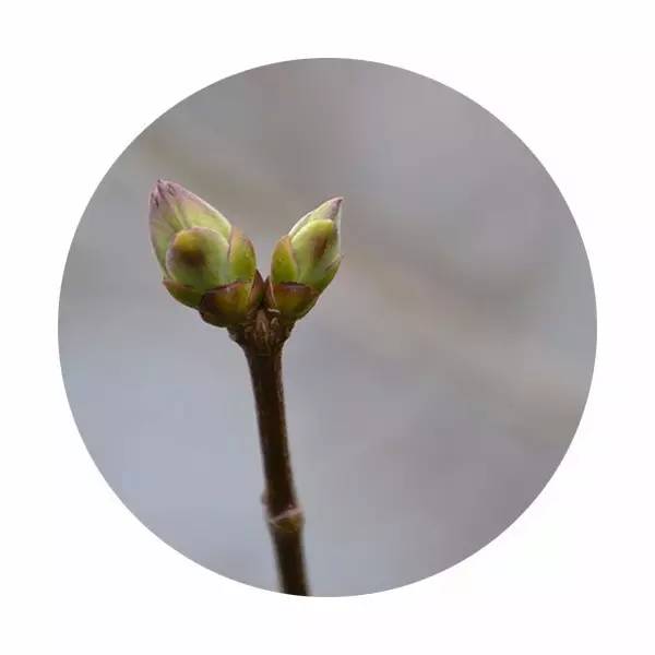 说文解字中关于颜色,说文解字青