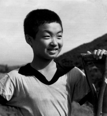 金星身份证上面的性别,金星的身份证上是男性还是女性