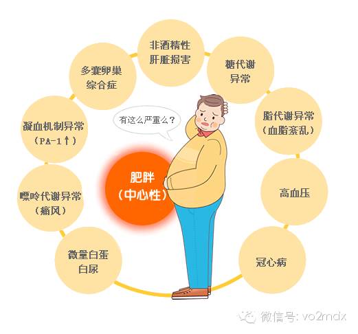 捉妖记原版,捉腰记对比图