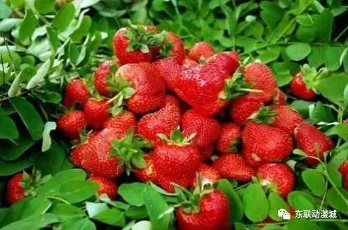 东联动漫城旅游攻略,东联影视动漫城旅游攻略