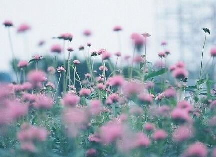 中小学语文陈述句改转述句,小学语文陈述句改为转述句的方法