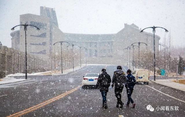 大连东软是本科学校吗,大连东软都有什么院系