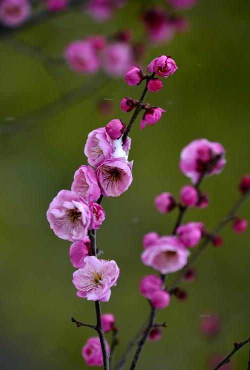 十劝世人大实话完整版,十劝世人大实话