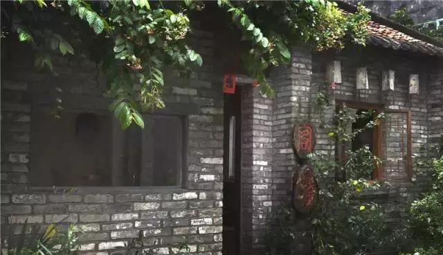 小洲玩点啥,小洲去哪玩了