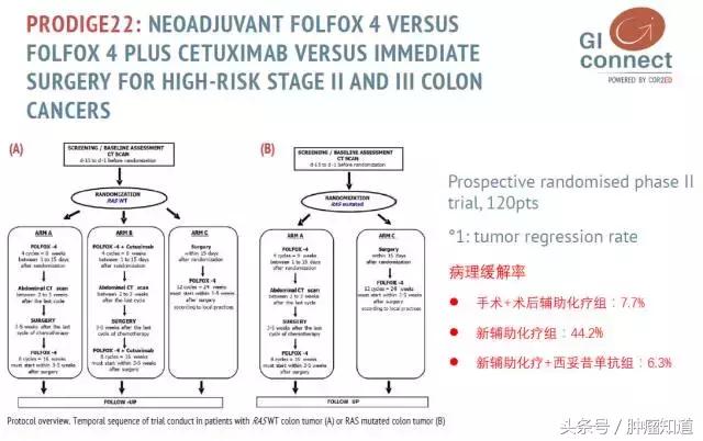 esmo癌症最新研究进展,esmo最新研究汇总
