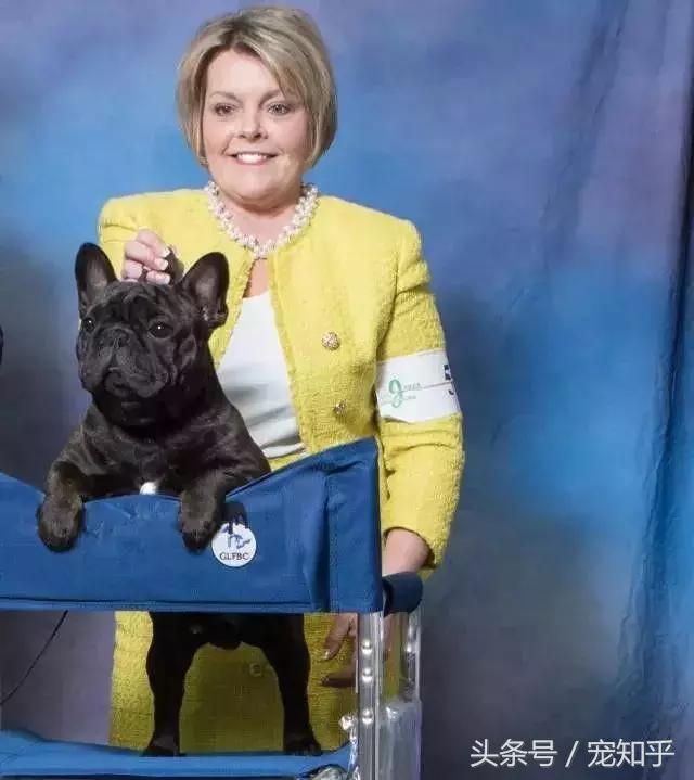 世界名犬英国,世界名犬杜高犬