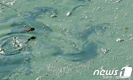 韩国污染最新消息,韩国雾霾治理最新消息