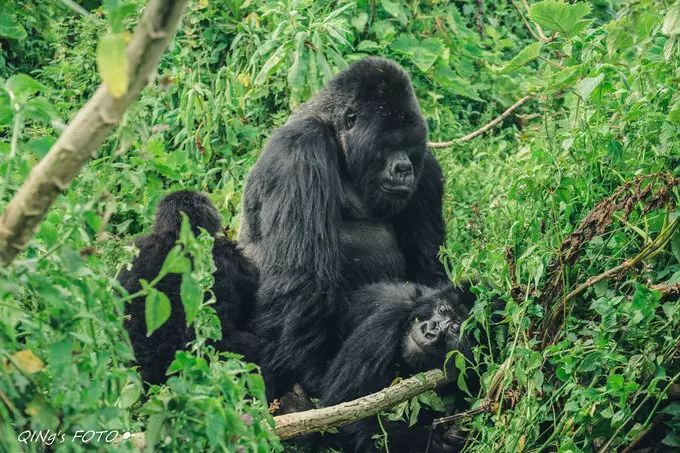 750块钱可以干什么,750块钱能干什么