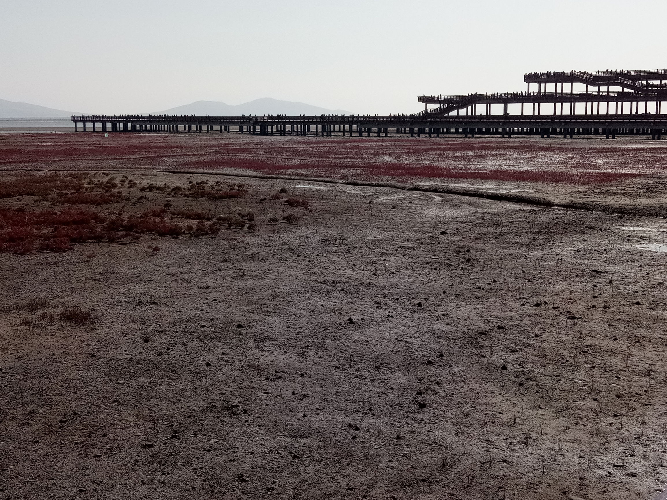 葫芦岛国庆旅游攻略,葫芦岛红海滩旅游攻略