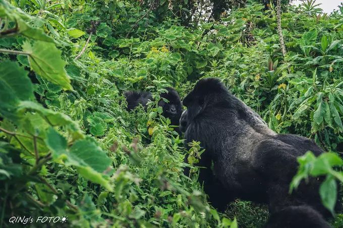 750块钱可以干什么,750块钱能干什么