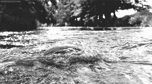 阴D说：老娘不背污秽的锅