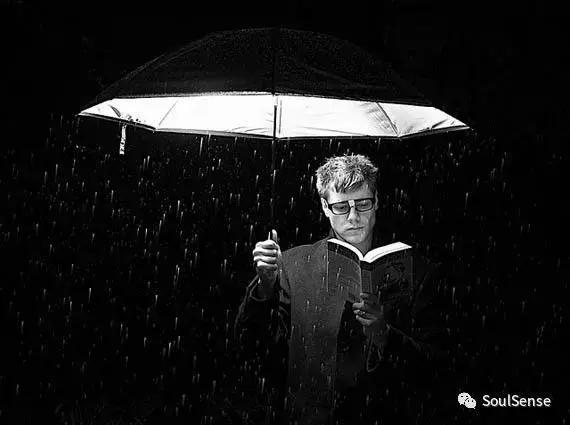 低调又不失奢华的雨伞,高档收藏雨伞