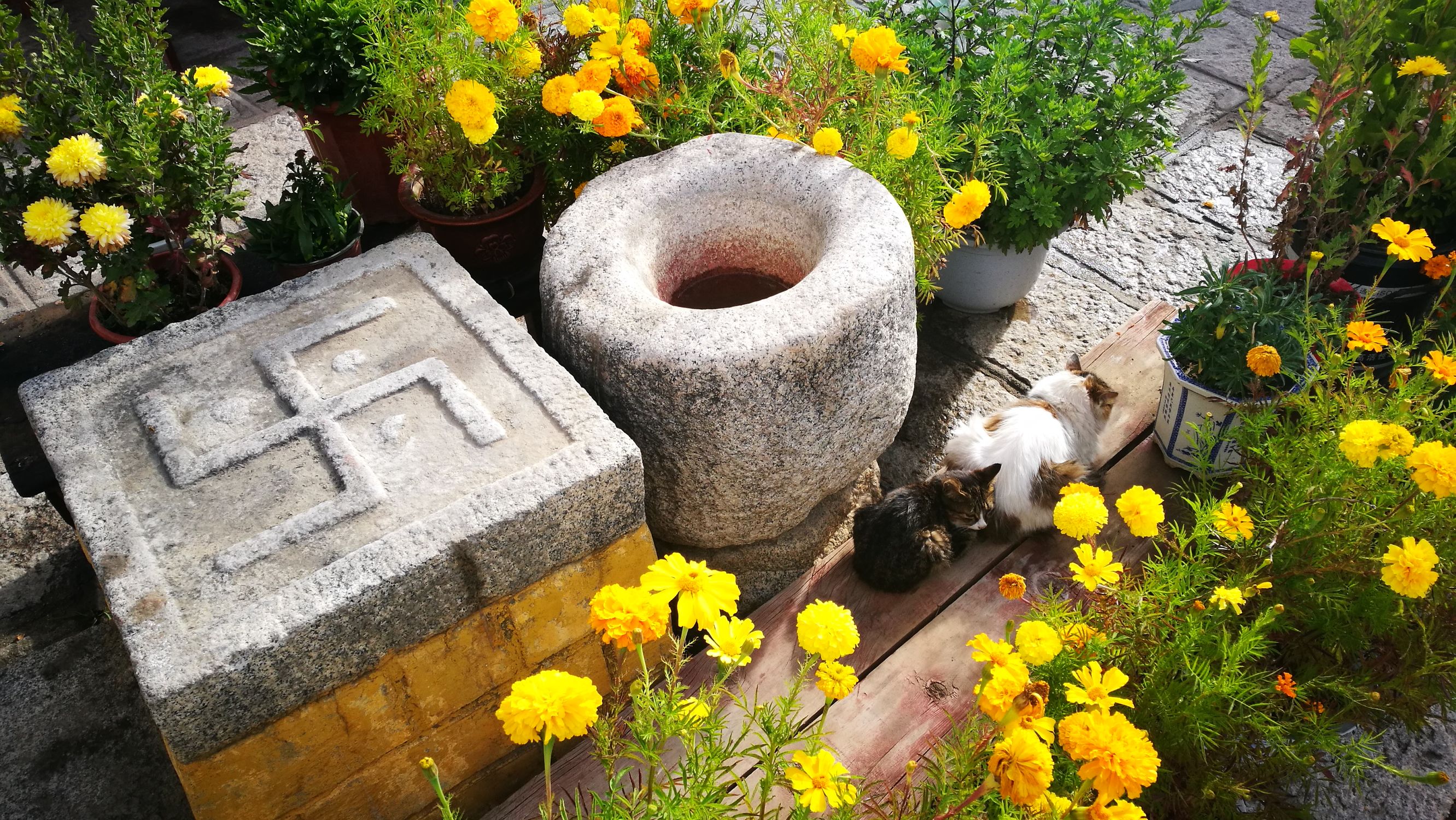 阿底峡尊者完整视频,聂当卓玛拉康与阿底峡尊者