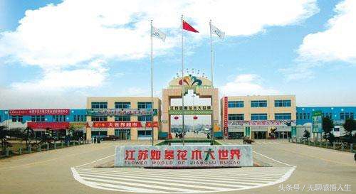 中国江苏省宿迁市沭阳县,江苏宿迁沭阳县是个什么地方