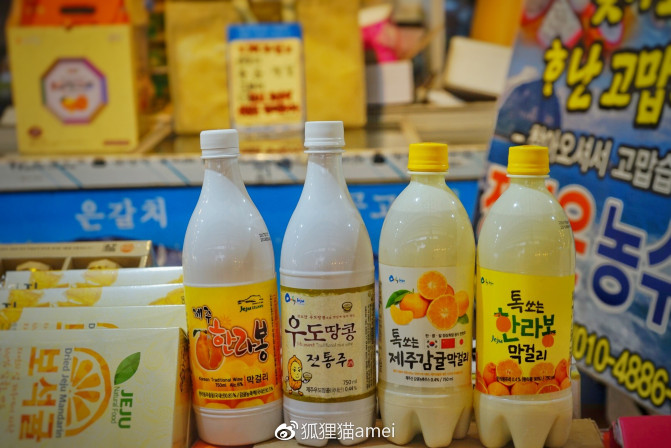 济州自由行,济州岛游记推荐