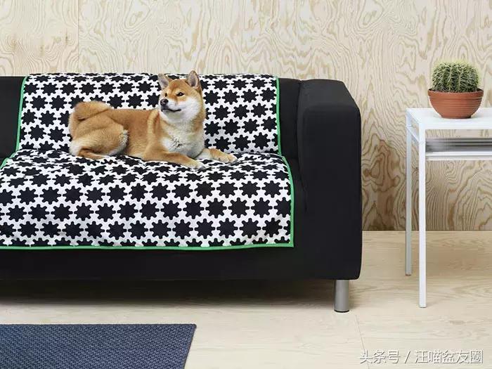 宜家宠物家具效果图,宜家的宠物家居
