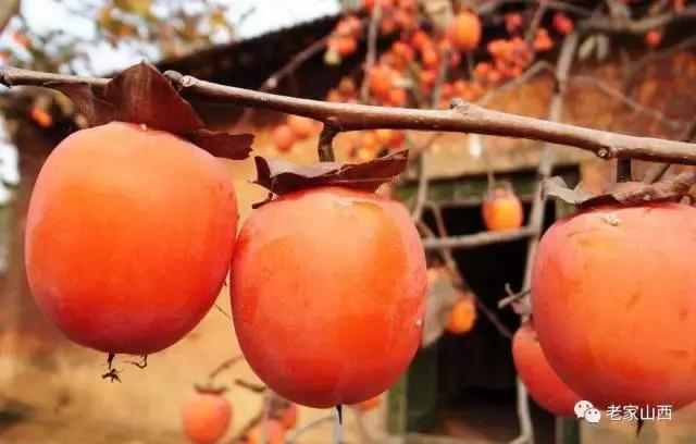 走到哪里都忘不掉家乡的味道,走到哪里也忘不了老家