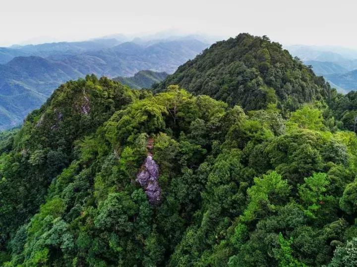 西华县有多少年的历史了,西华古村