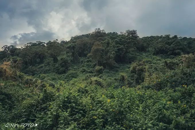 750块钱可以干什么,750块钱能干什么