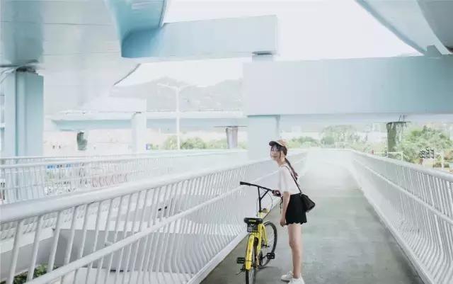 厦门旅游景点必去攻略自由行,厦门旅游攻略最好的城市自由行