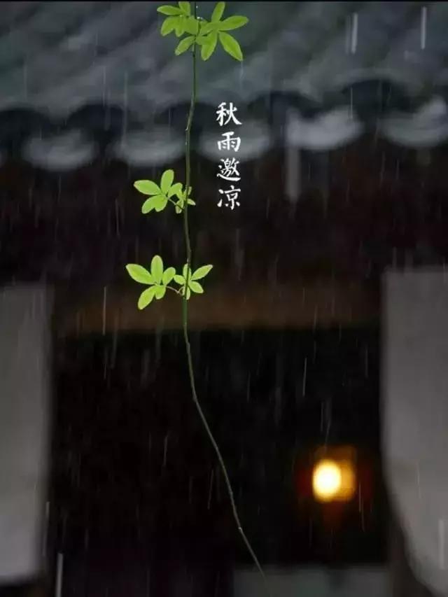 33首名作，尽现大唐荣耀289年