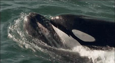 等了17年,等了你十七年