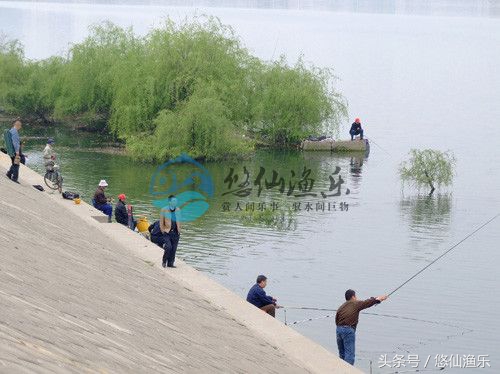草鱼垂钓技巧,水库钓鱼草鱼绝招