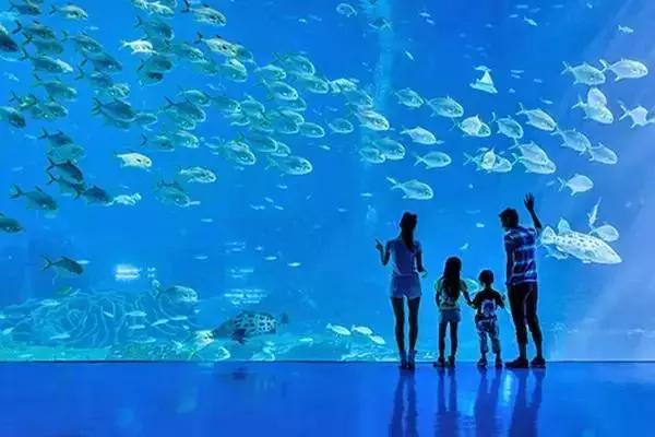 深圳高铁旅游路线分布图,深圳高铁能到达的旅游城市